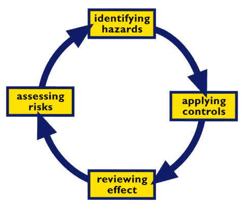 steps to analysing risk