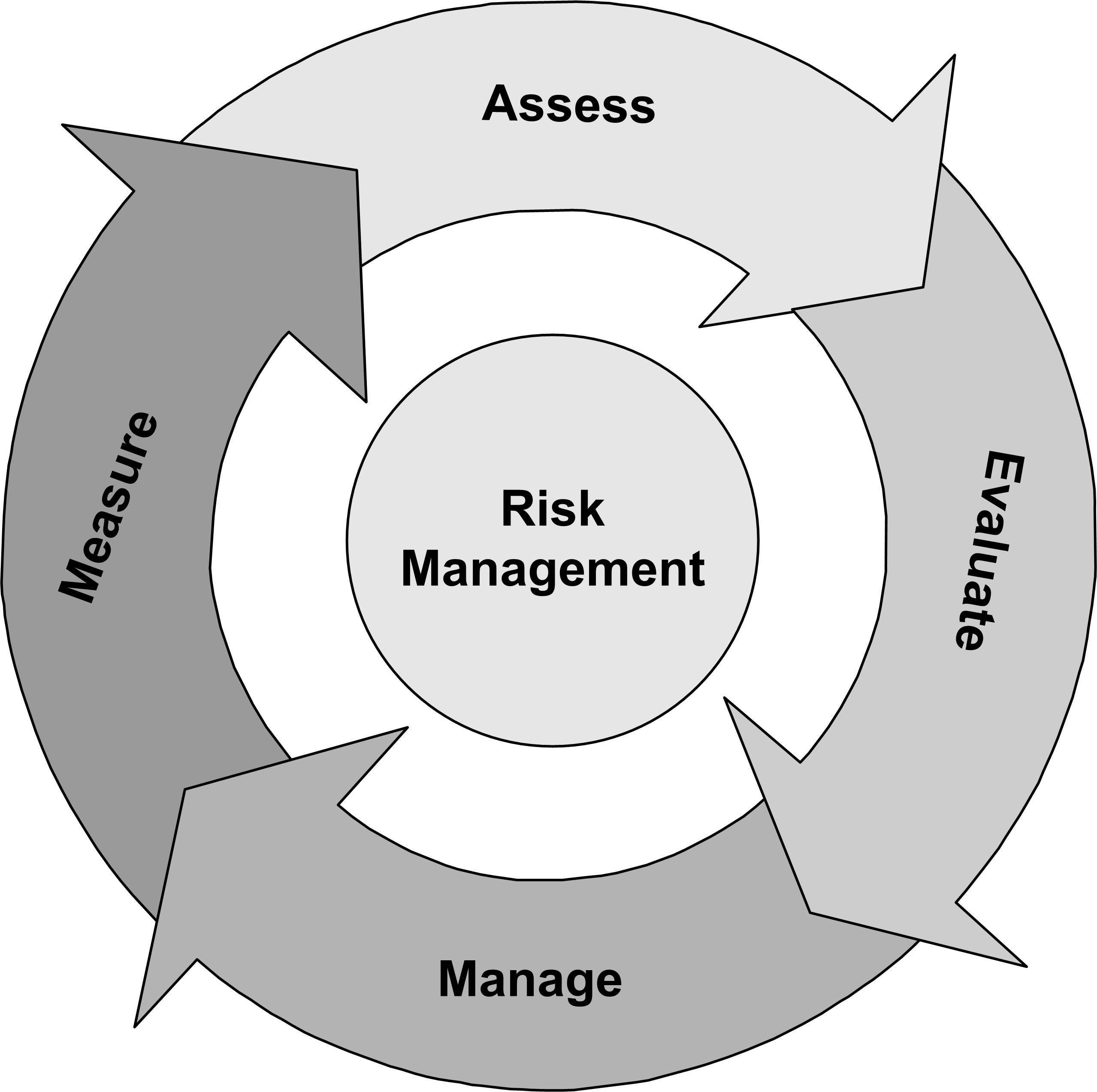 steps to manage risk
